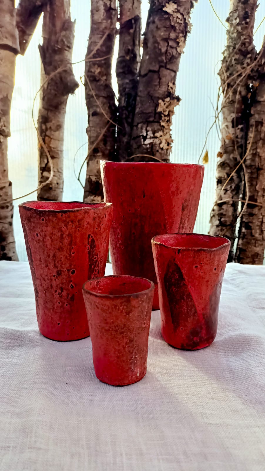 Set de Vasos (x4)