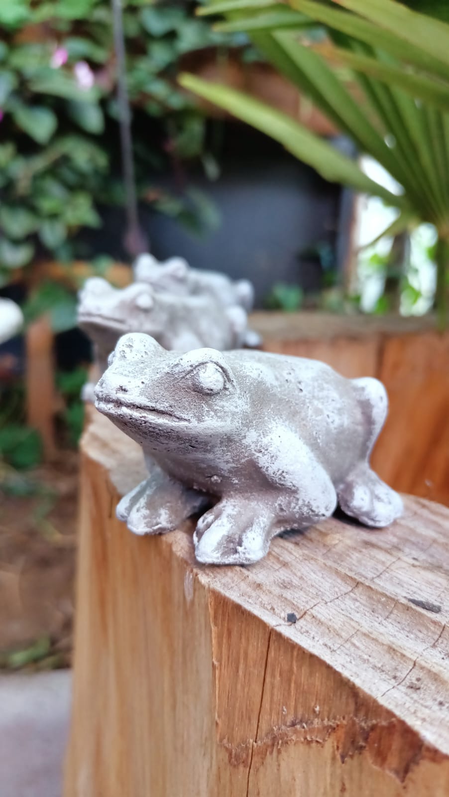 Sapitos Pequeños