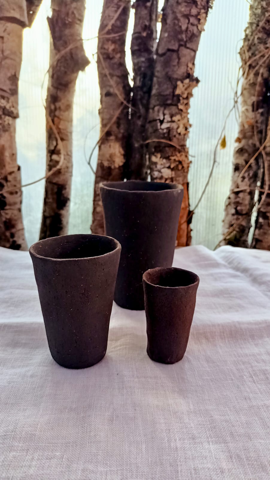 Set de Vasos (x3)